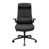 Cougar Silla Stryder Black