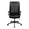 Cougar Silla Stryder Black
