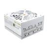 Cougar Fuente Alimentación GR 1000 Snow 80+ Gold