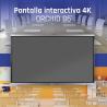 iggual Pantalla interactiva 4K ORCHID 86"