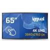 iggual Pantalla interactiva 4K ORCHID 65"