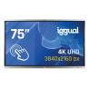 iggual Pantalla interactiva 4K ORCHID 75" Webcam